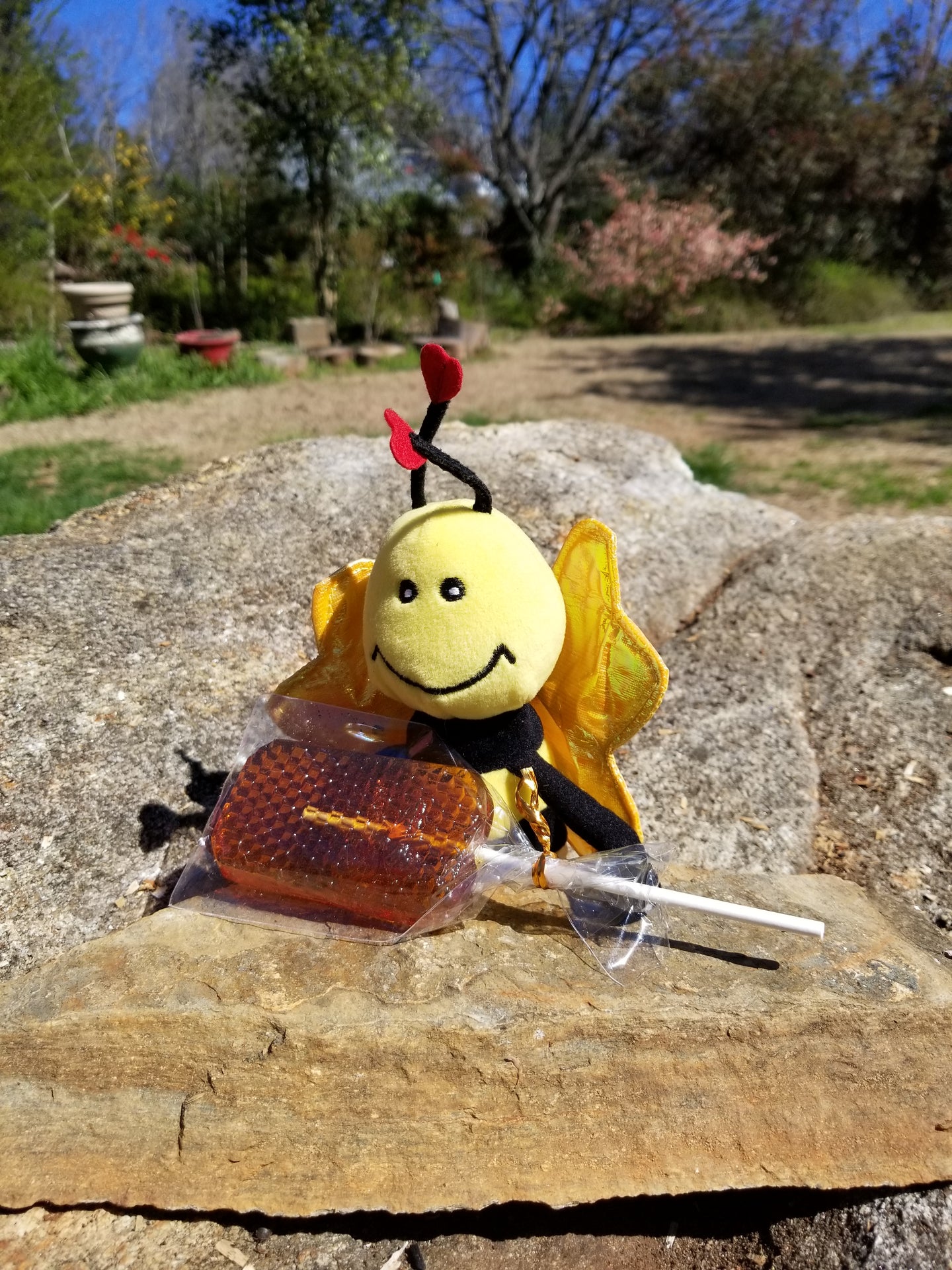 Honey Sucker