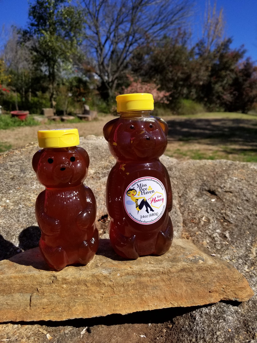 Honey Bear Honey (2 Sizes)